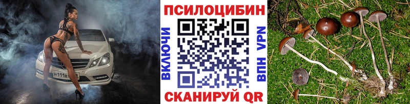 Псилоцибиновые грибы мицелий  Сычёвка 